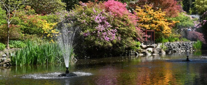 The Glades Woodland Garden, Canada